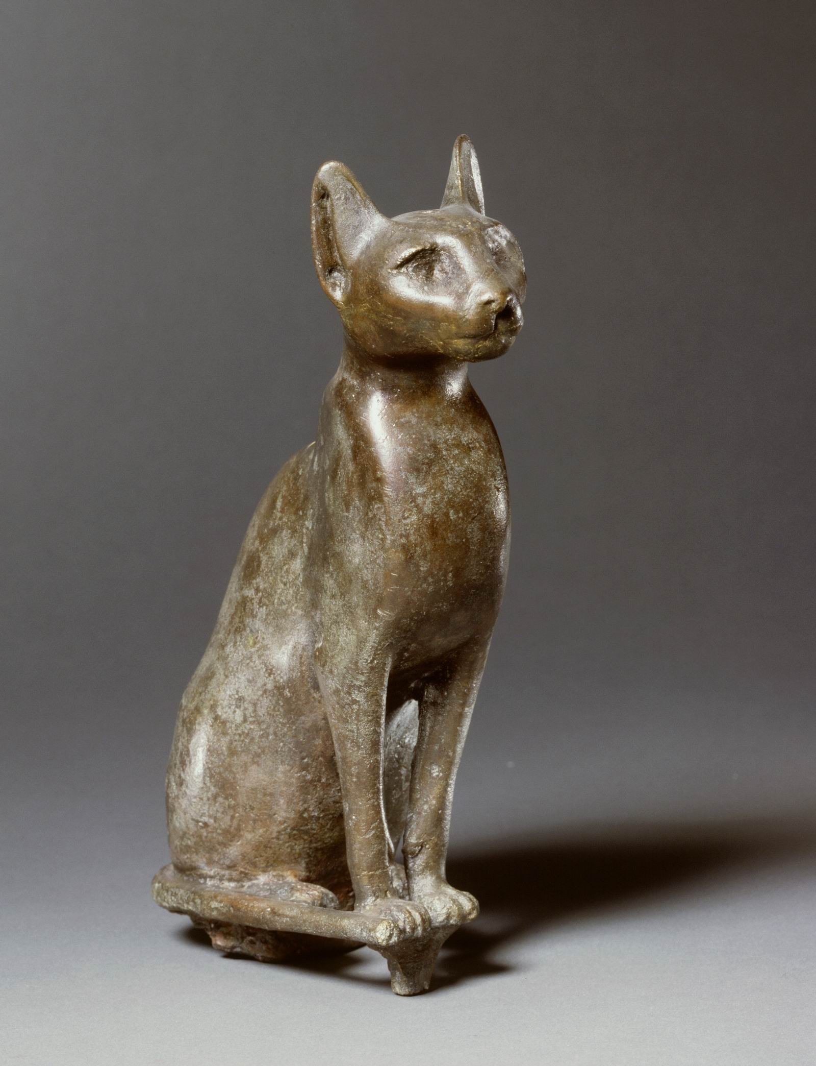 Panter Aandringen Plenaire sessie Beeld van zittende kat | Rijksmuseum van Oudheden